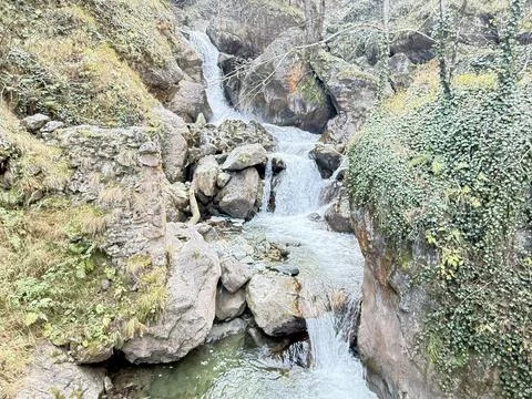 Mountain stream forest.Leafy forest pathway.Forest stream Stock Photos