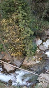 Mountain stream forest.Leafy forest pathway.Forest stream Stock-Fotos