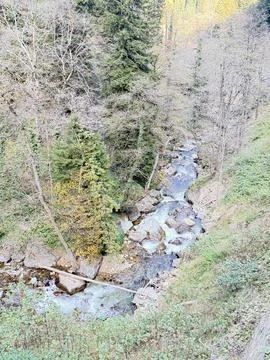 Mountain stream forest.Leafy forest pathway.Forest stream Stock Photos