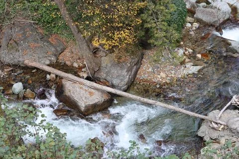 Mountain stream forest.Leafy forest pathway.Forest stream Stock Photos