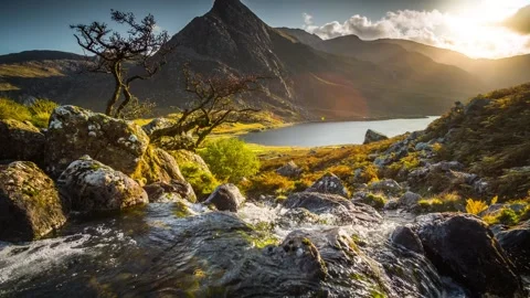 Mountain stream with fresh water in the foreground Stock Footage 245242979