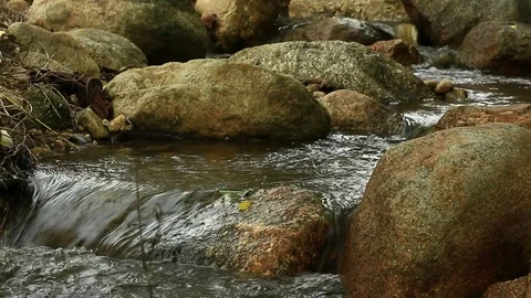 Mountain stream, freshness and clean environment water flow stream in nature Stock Footage 78367052