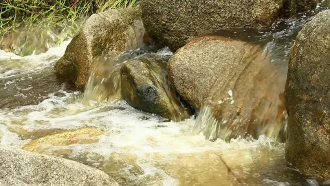Mountain stream, freshness and clean environment water flow stream in nature Stock Footage 78367302