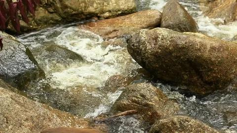 Mountain stream, freshness and clean environment water flow stream in nature Stock Footage 78367654