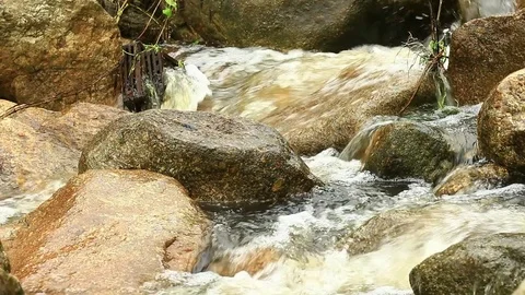 Mountain stream, freshness and clean environment water flow stream in nature Stock Footage 78368740