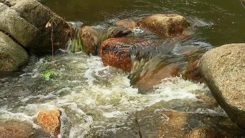 Mountain stream, freshness and clean environment water flow stream in nature Stock Footage 78368894