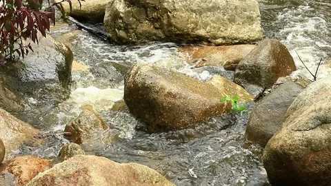 Mountain stream, freshness and clean environment water flow stream in nature Stock Footage 78369125