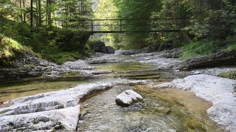 A mountain stream in front of a footbridge in late summer Video stock 260866074