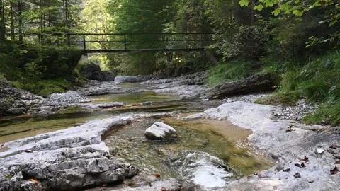 A mountain stream in front of a footbridge in late summer Video stock 260866316