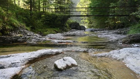 A mountain stream in front of a footbridge in late summer Video stock 260866324