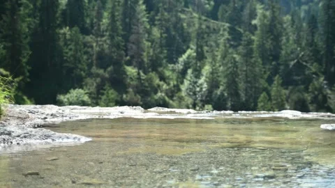A mountain stream in front of a forest (bokeh) Stock-Footage 219633823