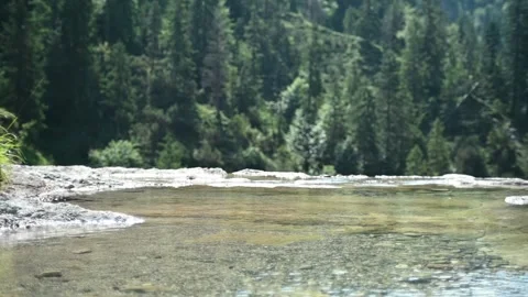 A mountain stream in front of a forest (slow motion) Video stock 219633662