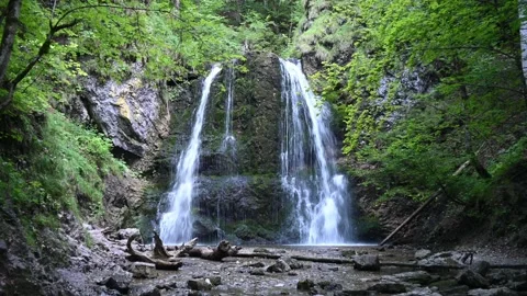 A mountain stream in front of a waterfall in a forest 스톡 동영상 217381618