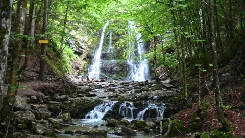 A mountain stream in front of a waterfall in a forest 스톡 동영상 217381738