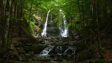 A mountain stream in front of a waterfall in a forest Stock Footage 217381819
