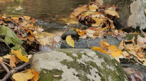 Mountain stream, gathering pool, in fall Video stock 908532