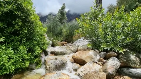 A Mountain Stream Gently Running With Natural Sound Stock Footage 166947467