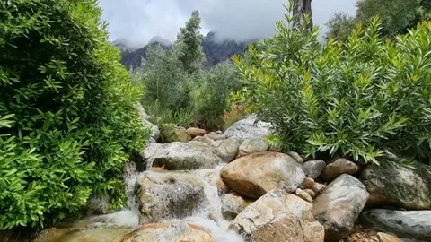 A Mountain Stream Gently Running Without Sound Stock Footage 166947453