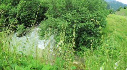 Mountain stream in Georgia Stock-Footage 61494620