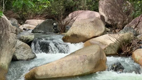 A mountain stream glides between stones and vibrant jungle vegetation, slow Stock Footage 325174390