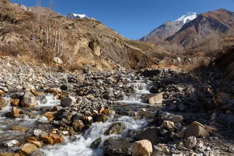 Mountain stream in the gorge Stock Photos