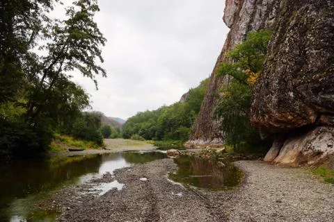 Mountain stream in the gorge Stock Photos
