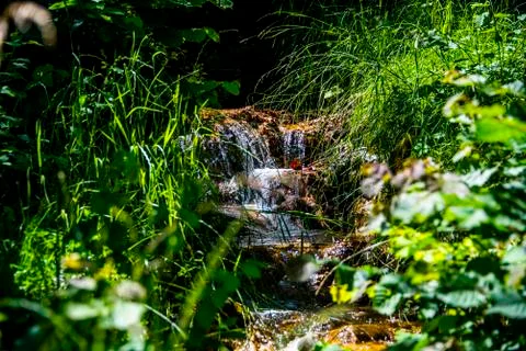 Mountain stream with grass one Stock Photos