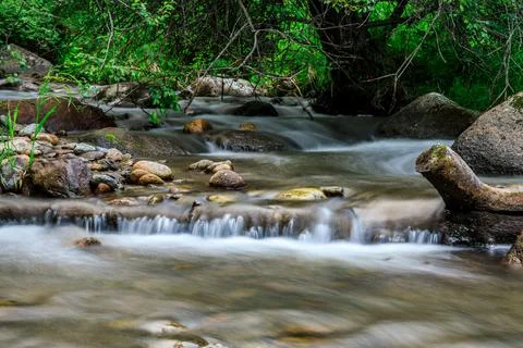 Mountain stream in green forest. Stock Photos