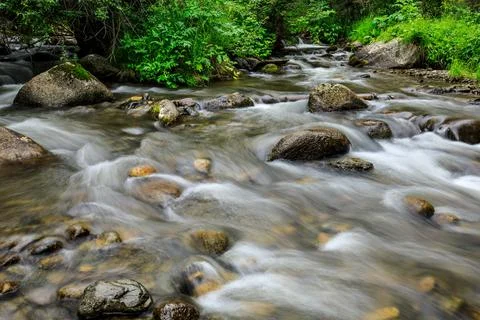 Mountain stream in green forest. Stock Photos