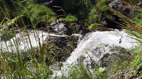Mountain Stream with Green Grass Stockbeeldmateriaal 55758997