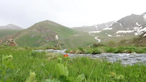 Mountain stream at the green plain Video stock 198333326