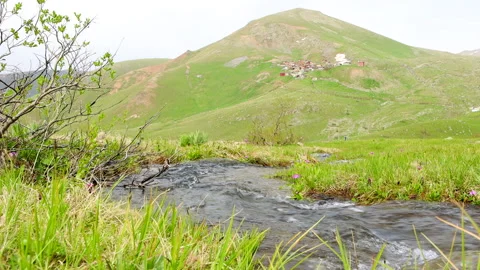 Mountain stream at the green plain Video stock 198333327