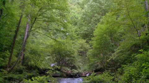 Mountain Stream - HD 1080 스톡 동영상 11867255