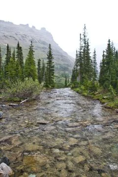Mountain Stream Heading to a Waterfall Stock-Fotos