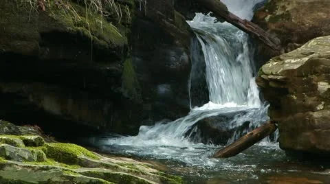 Mountain Stream Headwaters deep in the mountain forest Stock Footage 12767137