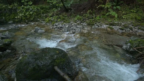 Mountain Stream in the High Tatra Stock Footage 94740985