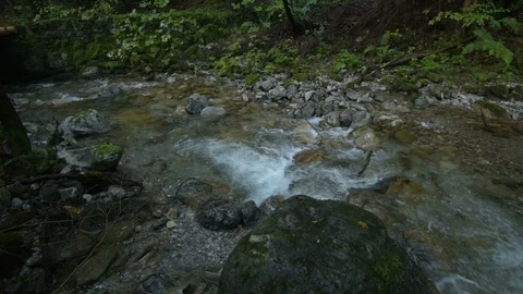 Mountain Stream in the High Tatra Stock Footage 94741211