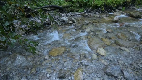 Mountain Stream in the High Tatra Video stock 94741456