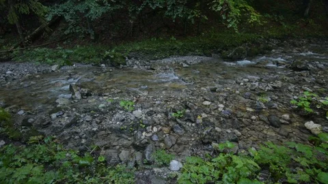 Mountain Stream in the High Tatra Stock Footage 94741606