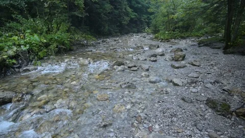 Mountain Stream in the High Tatra Stock Footage 94741657