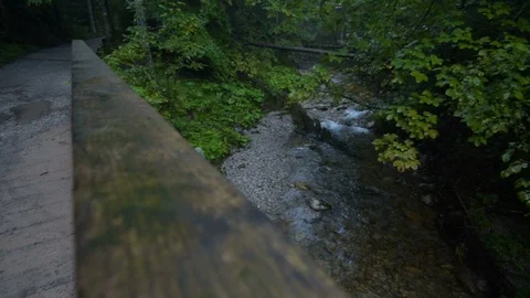 Mountain Stream in the High Tatra Stock Footage 94741697