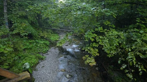 Mountain Stream in the High Tatra Stock Footage 94741787