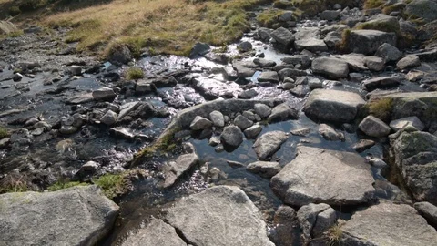 Mountain Stream in the High Tatra. Stock Footage 95490681