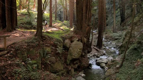 Mountain Stream Hiking Trail Stock Footage 71125414