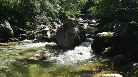 Mountain stream with a huge rock in the middle Stock-Footage 260821461