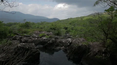 Mountain Stream, Ireland - Tilt Up Stock Footage 49506941