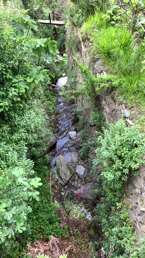 Mountain Stream in Italy Leading to Footbridge Stock Footage