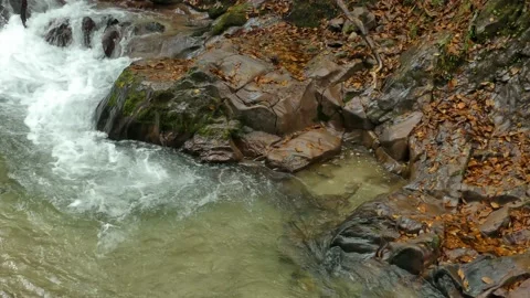 Mountain stream in late autumn Stock Footage 144820512