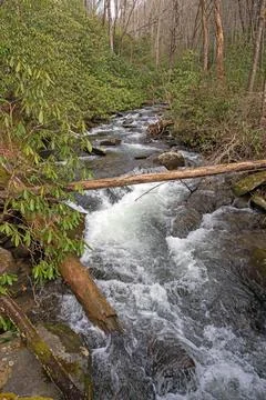 Mountain Stream in the Late Winter Stockfoto's