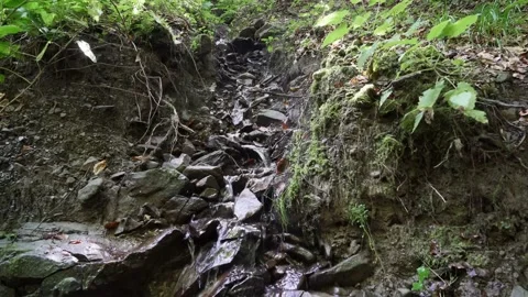 Mountain stream located in the Carpathians 4k Stock Footage 138866759